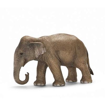 ELEFANTE ASIÁTICO FÊMEA