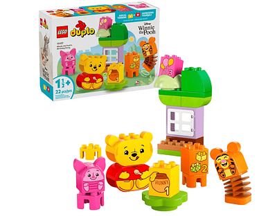 10457 FESTA DE ANIVERSARIO DO URSINHO POOH