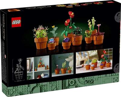 10329 PLANTINHAS