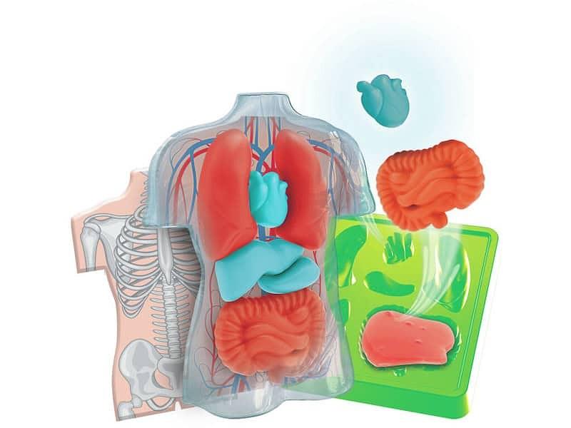 CLEMENTONI CIÊNCIA & JOGO - ANATOMIA SURPREENDENTE
