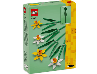 40747 NARCISOS