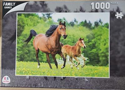 1000 PEÇAS FAMILY GAMES - CAVALOS