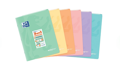 CADERNO AGRAFADO A4 48F QUADRICULADO CORES SORT.