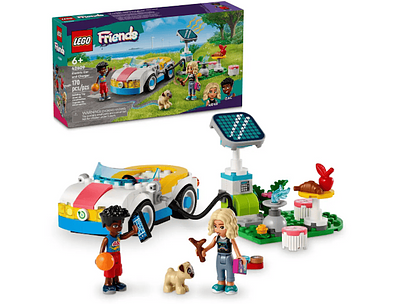 42609 CARRO ELÉCTRICO E CARREGADOR