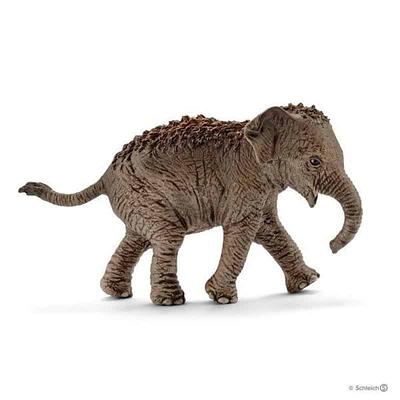 ELEFANTE ASIATICO, CRIA