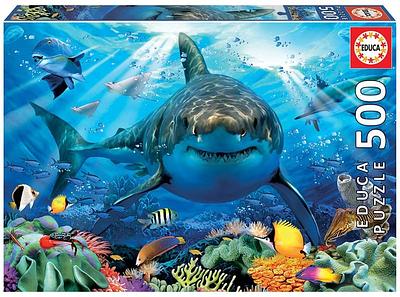 A Educa oferece a coleção mais completa de Puzzles para adultos do mercado, com tamanhos que variam de 300 a 42000 peças e com as melhores fotos e os personagens mais divertidos.n
